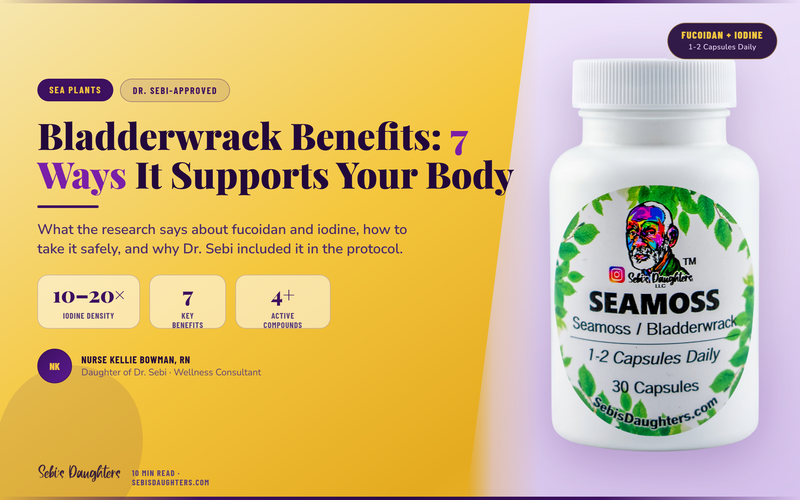 Bladderwrack Benefits: 7 Ways This Sea Plant Supports Your Body