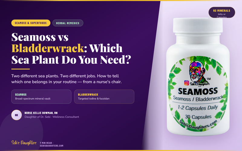 Seamoss vs Bladderwrack: Which Sea Plant Do You Need?