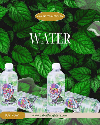 Sebi’s Daughters 16.9oz Spring Water, available in convenient 6-pack and 24-pack options