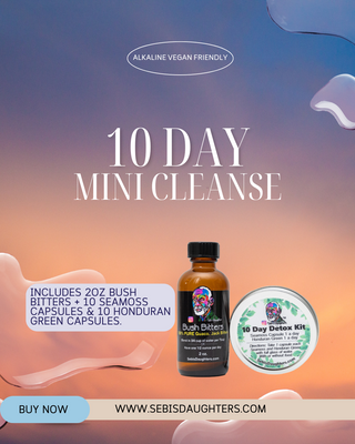 "10-Day Mini Cleanse Bundle by Sebi's Daughters, a curated wellness pack designed to support gentle cleansing and revitalization. Set against a gradient sky background with fluid abstract shapes, reflecting the essence of the Spring Collection. Includes a 'Buy Now' button and website URL."