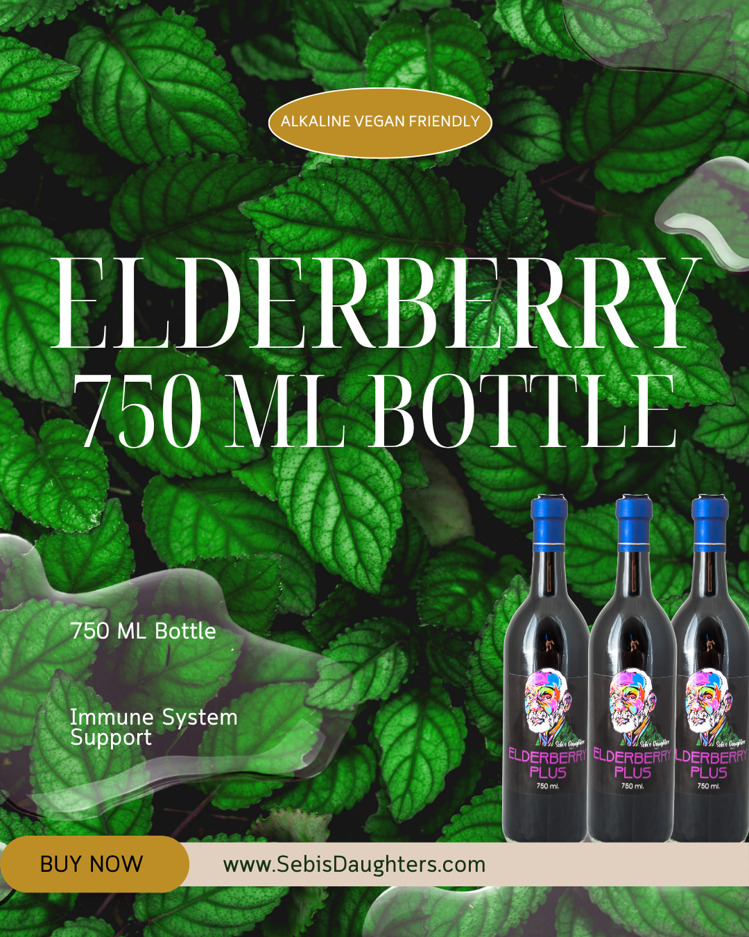 elderberry syrup 750ml bottle
