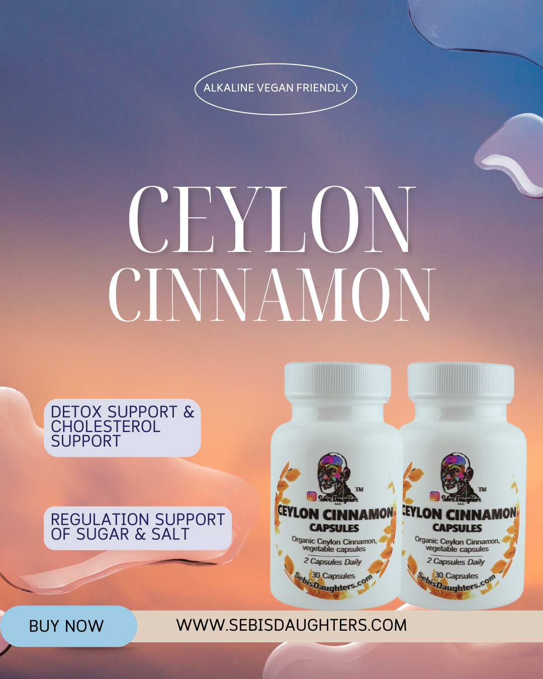 Image of Sebi's Daughters Spring 2025 Collection featuring Ceylon Cinnamon capsules designed to detox from and support the regulation of both salt and sugar from the body.