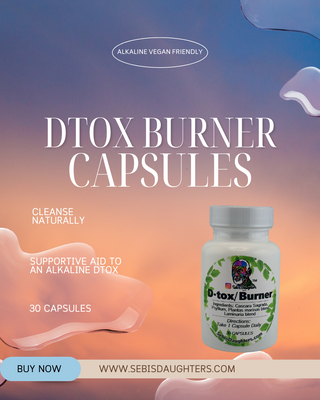 "Dtox Burner Capsules by Sebi's Daughters – an alkaline vegan herbal supplement designed to support natural cleansing and detox. The image features a white bottle with green leaf accents and Dr. Sebi’s portrait, set against a gradient sky background with fluid abstract shapes. Includes a 'Buy Now' button and website URL."