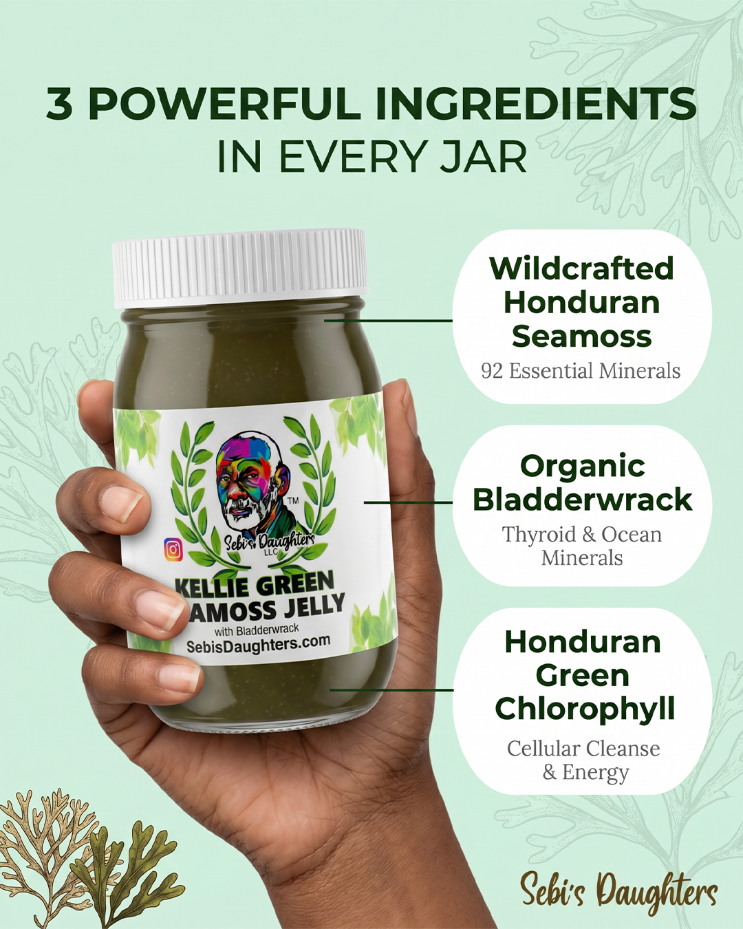 A hand holds a jar of Kellie Green Seamoss Jelly with its ingredients: wildcrafted Honduran seamoss, organic bladderwrack, and Honduran green chlorophyll. By Sebi's Daughters.