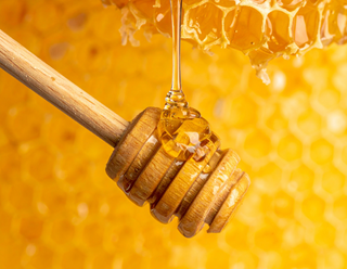 100% Stingless Bee Honey