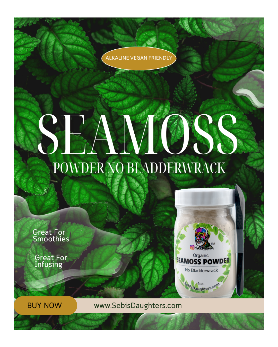 Organic Seamoss Powder Supplement – Thyroid, Gut & Immune Health | 92 Minerals, 4oz