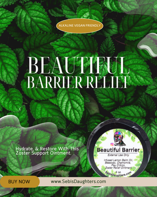 Image of Sebi's Daughters Beautiful Barrier Zoster Relief Support Ointment.