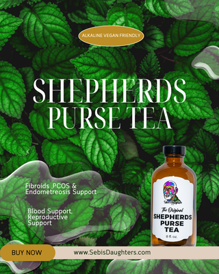 Sebi's Daughters Original Shepherds Purse Tea against an island green background