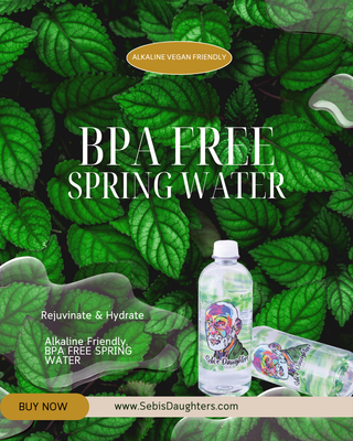 Summer 2025 Sebi's Daughters BPA Free Spring Water